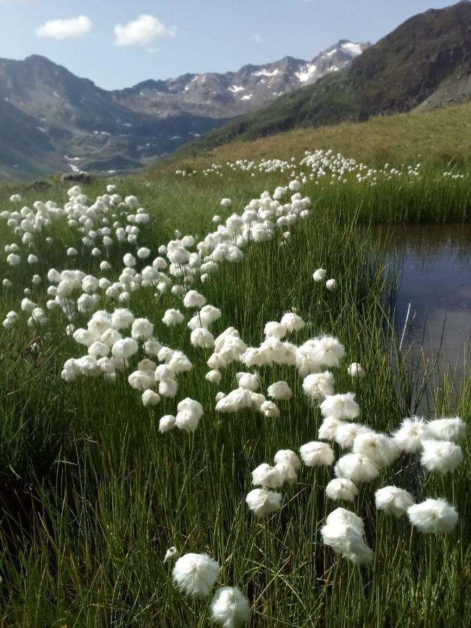 Haus Aperies Διαμέρισμα Pettneu am Arlberg Εξωτερικό φωτογραφία
